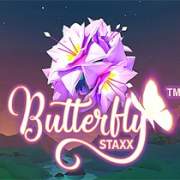 ButterflyStaxx