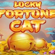 Lucky Fortune Cat