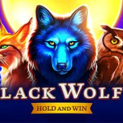 Black Wolf 2