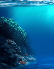 Big Bass Bonanza 3 Reeler