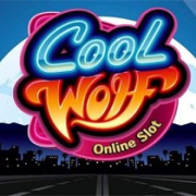 Cool Wolf