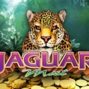 Jaguar Mist