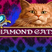 Diamond Cats