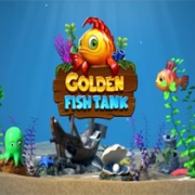 Golden Fish Tank