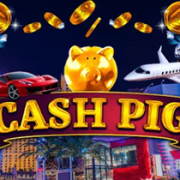 Cash Pig
