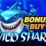 Wild Shark Bonus Buy