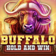 Buffalo Hold and Win