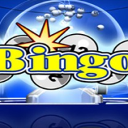 Bingo