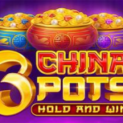 3 China Pots