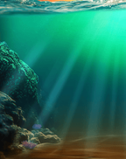 Big Bass Bonanza 1000