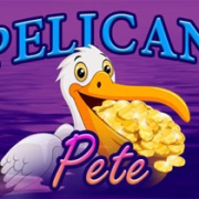 Pelican Pete