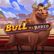 Bull In A Rodeo