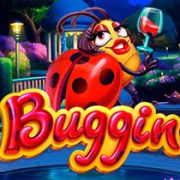 Buggin