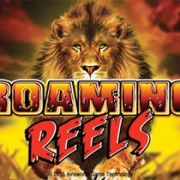 Roaming Reels