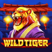 Wild Tiger