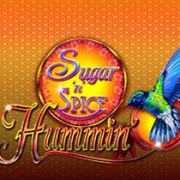 Sugar N Spice Hummin