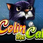 Colin the Cat