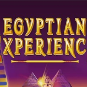 Egyptian Experience