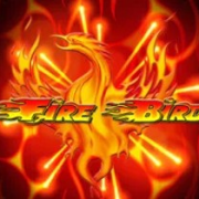 Fire Bird