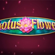 Lotus Flower