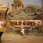 Wild Guns