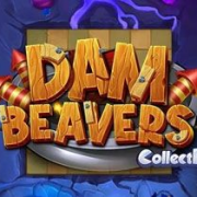 Dam Beavers